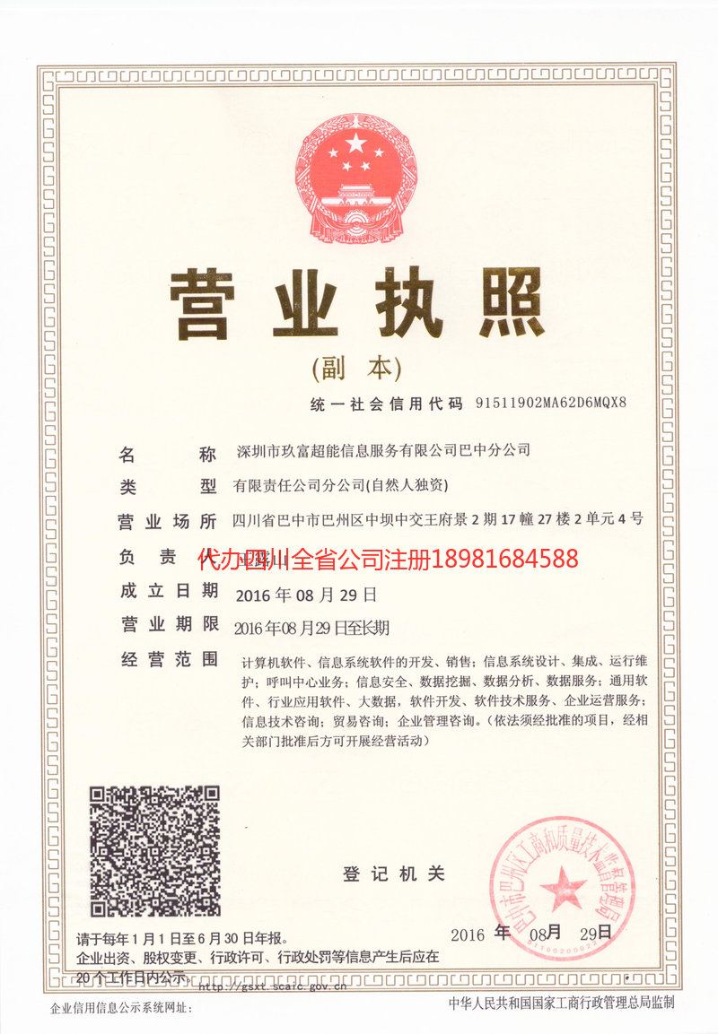 仪陇仪陇玖富超能信息服务有限公司